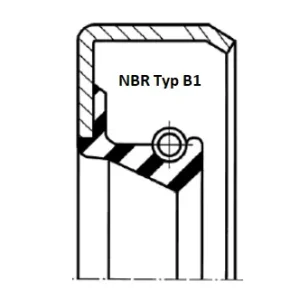 Exklusives Angebot | Wellendichtung NBR Typ B1